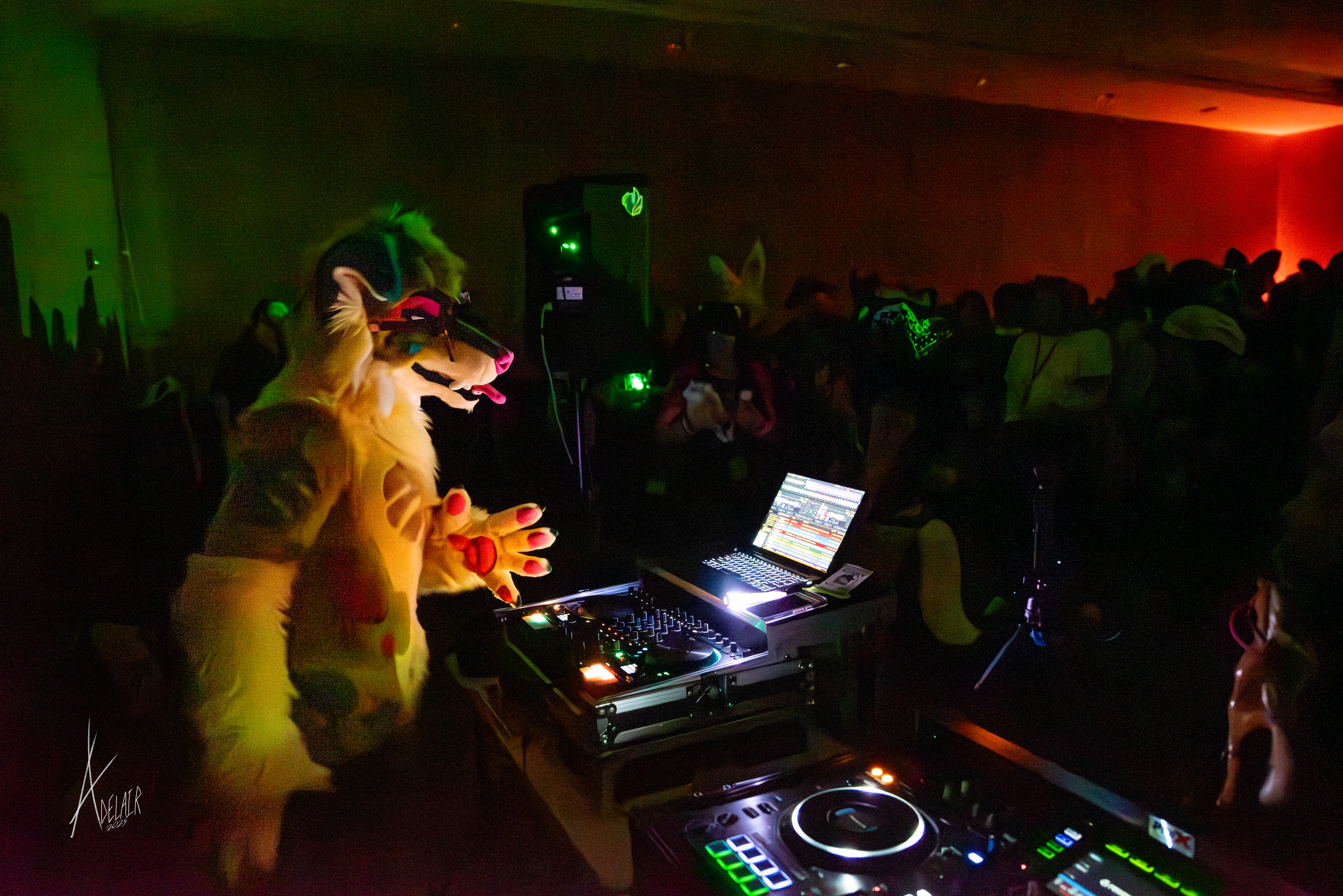 Laelia at the decks